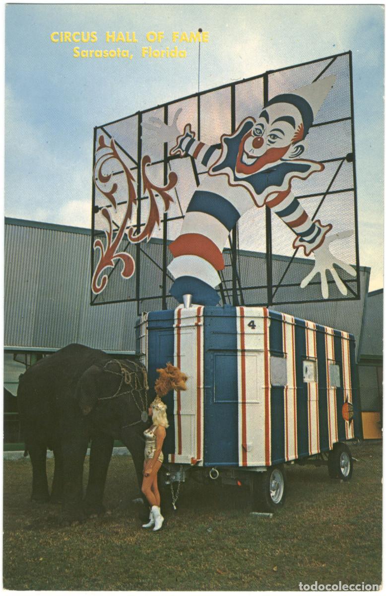 Postales: 4 postales USA Elefantes en circo - Foto 4
