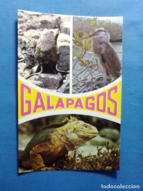 Postales: postal Ecuador Galapagos sin escribir - Foto 1