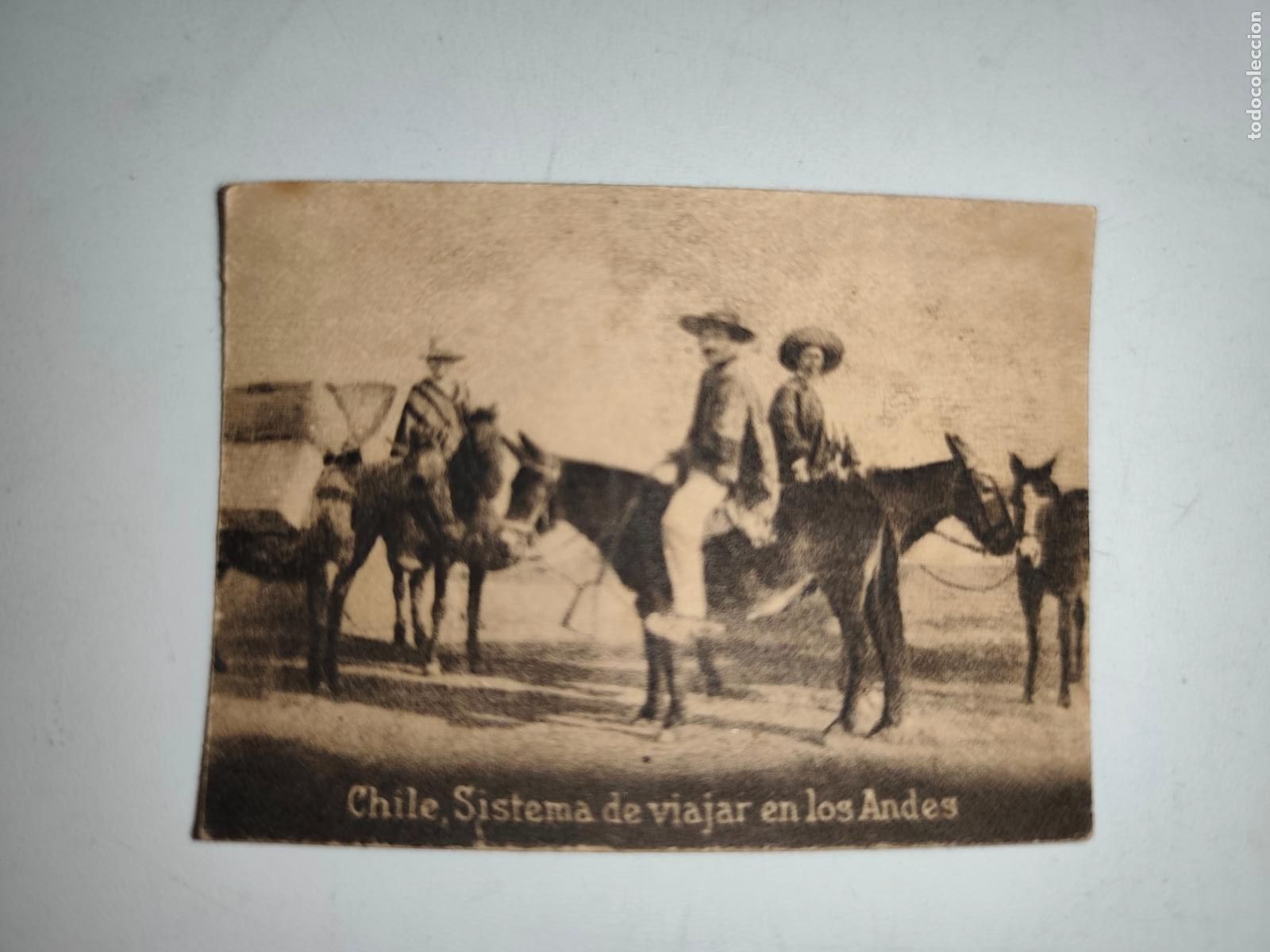Postcards: POSTAL ORIGINAL DECADA DE LOS A&Ntilde;OS 30. CHILE, SISTEMA DE VIAJAR EN LOS ANDES. LEER