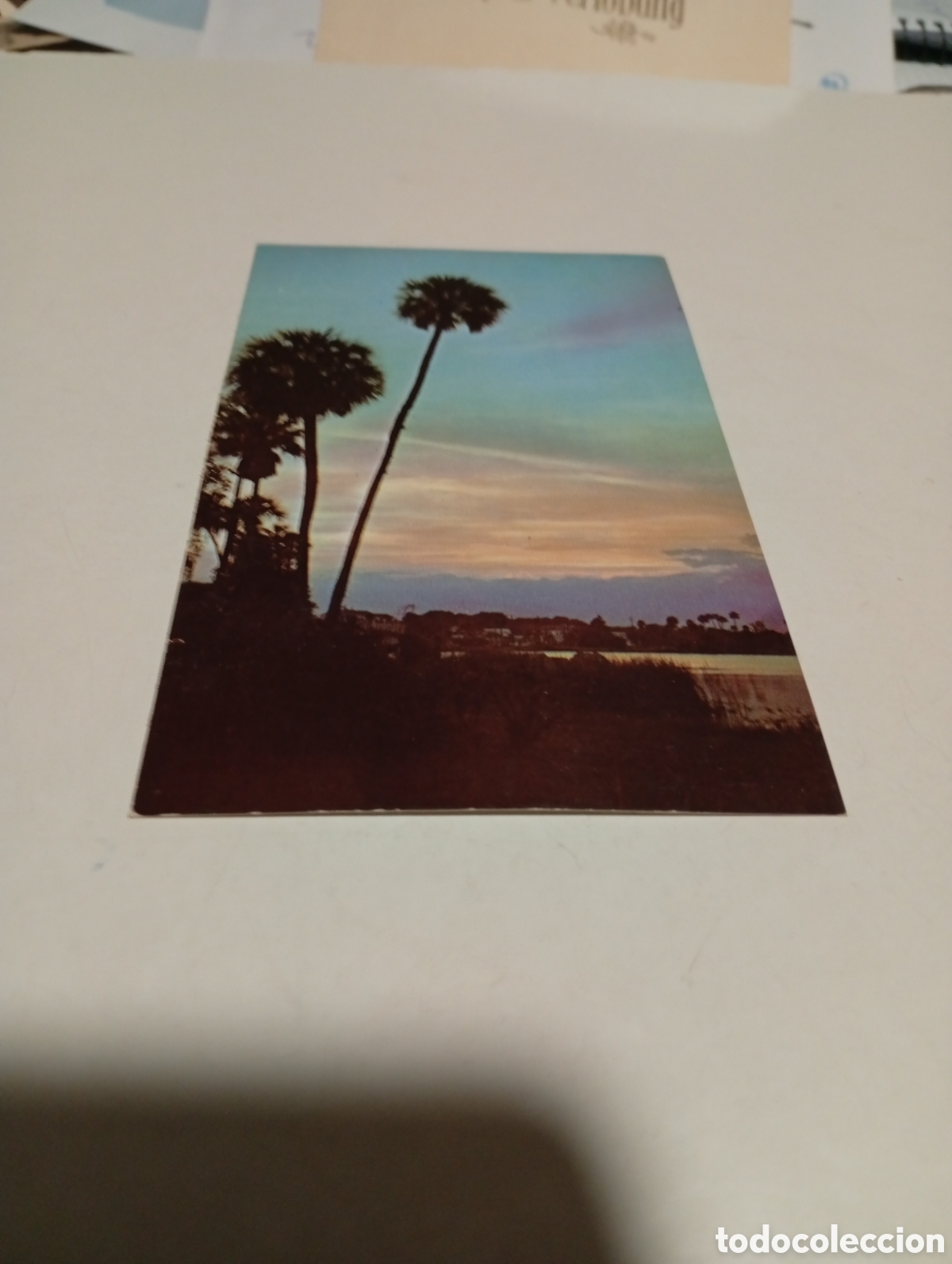 Postales: Postal orlando sunset - Foto 1