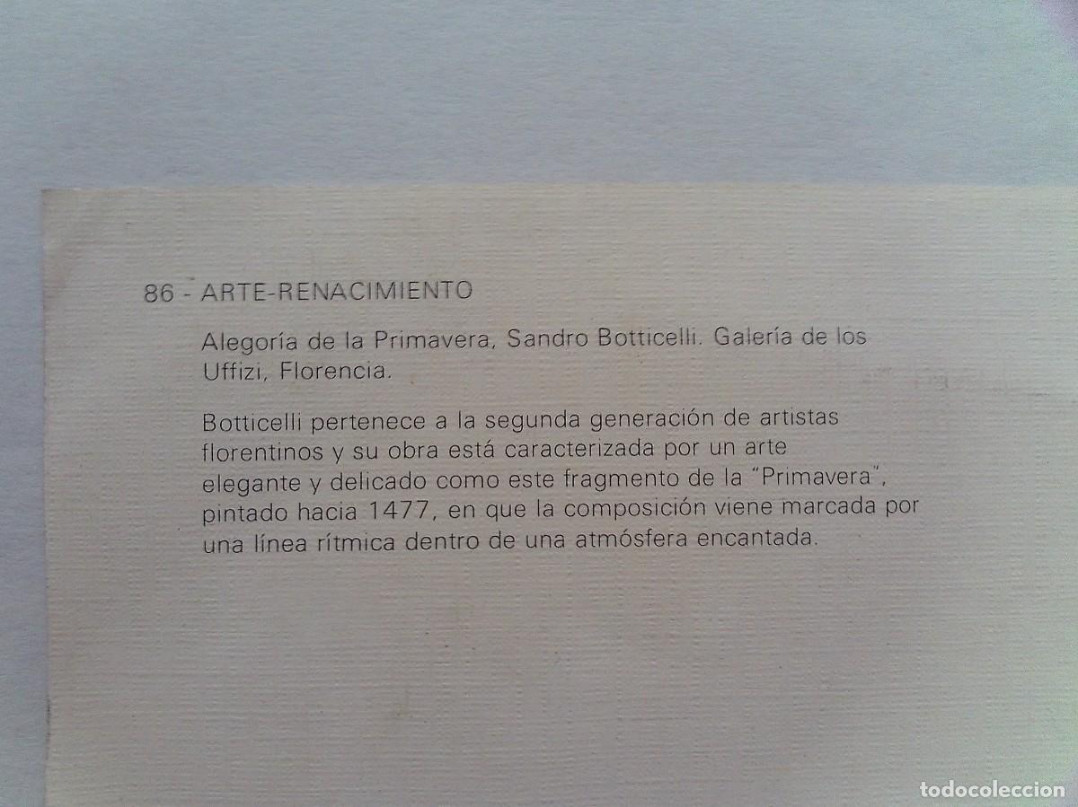 Postales: (P) POSTAL DIBUJO ALEGORIA DE LA PRIMAVERA SANDRO BOTTICELLI - Foto 2