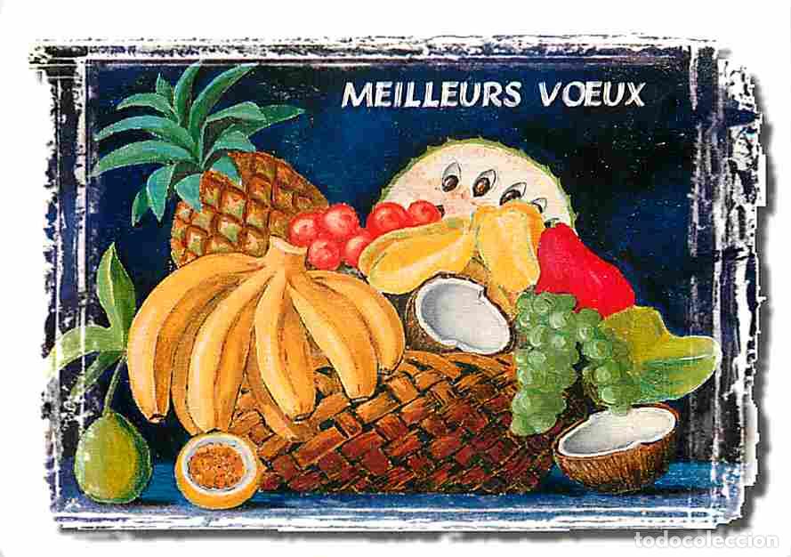 Postales: Antilles - CPM - Voir Scans Recto-Verso - Foto 1