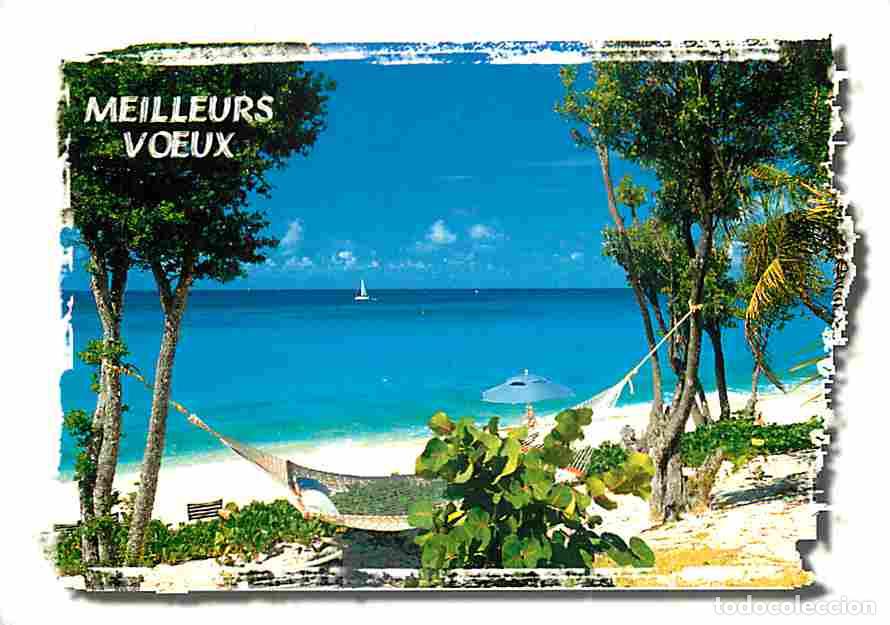 Postales: Antilles - CPM - Voir Scans Recto-Verso - Foto 1