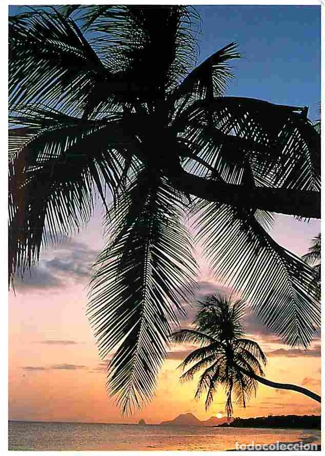 Postales: Antilles - CPM - Voir Scans Recto-Verso - Foto 1