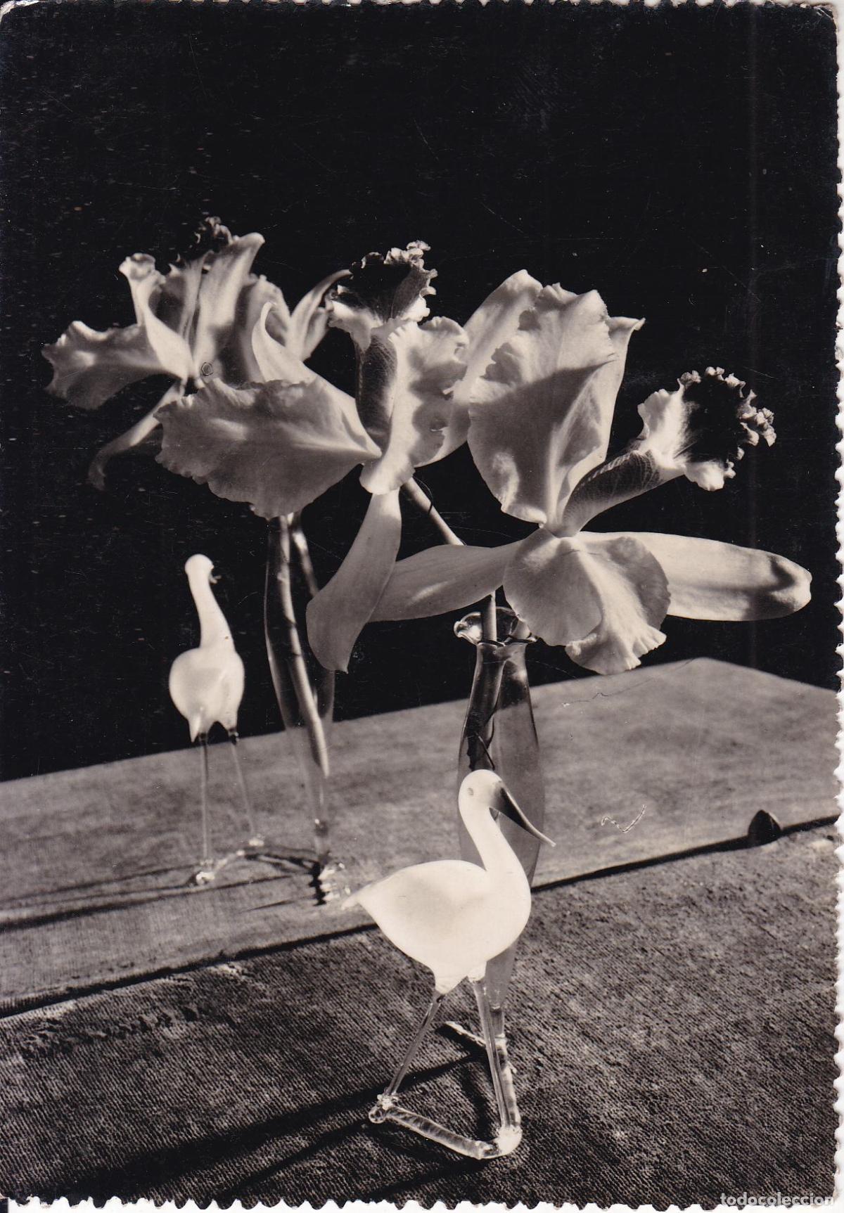 Postales: VENEZUELA, ORQUIDEAS &ndash; EDICIONES RIAN &ndash; S/C - Foto 1