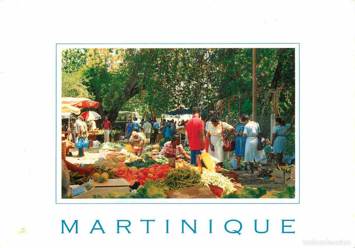 Cartoline: Martinique - Fort de France - marché aux fruits de la rivière Madame - CPM - Voir Scans Recto-Verso