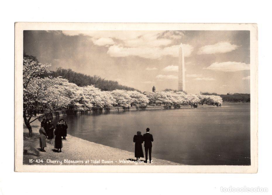 Postales: WASHINGTON DC.- CEREZOS EN FLOR EN TIDAL BASIN. - Foto 1