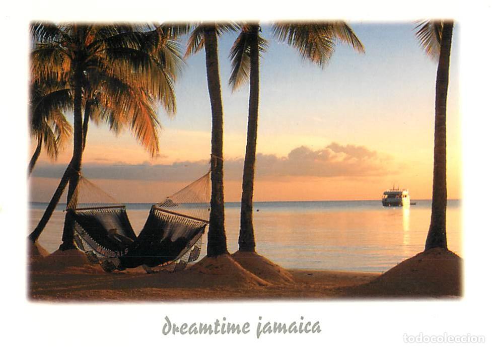 Cartoline: Format Spécial - 170 x 125 mms - Jamaique - Jamaica - Dreamtime Jamaica - Hamak entre 2 palmiers - C