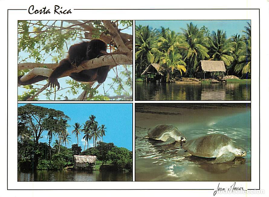 Cartoline: Format - 148 x 108 mms - Costa Rica - parc national tortuguero - CPM - Carte Neuve - Voir Scans Rect
