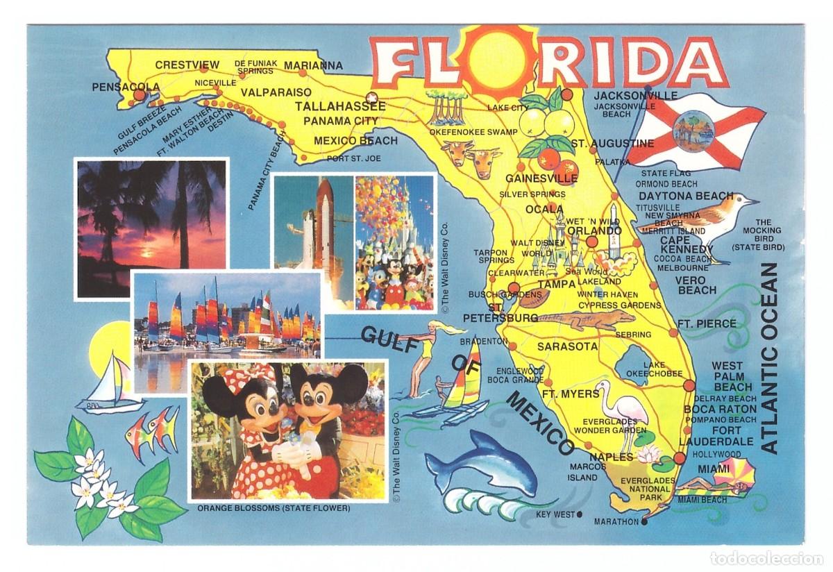 Postales: UNITED STATES. FLORIDA. - Foto 1