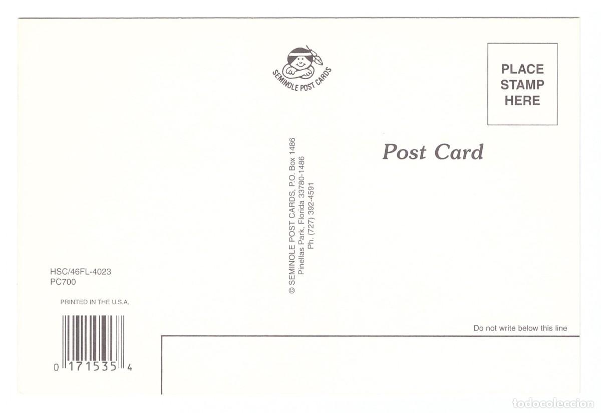 Postales: UNITED STATES. FLORIDA. - Foto 2
