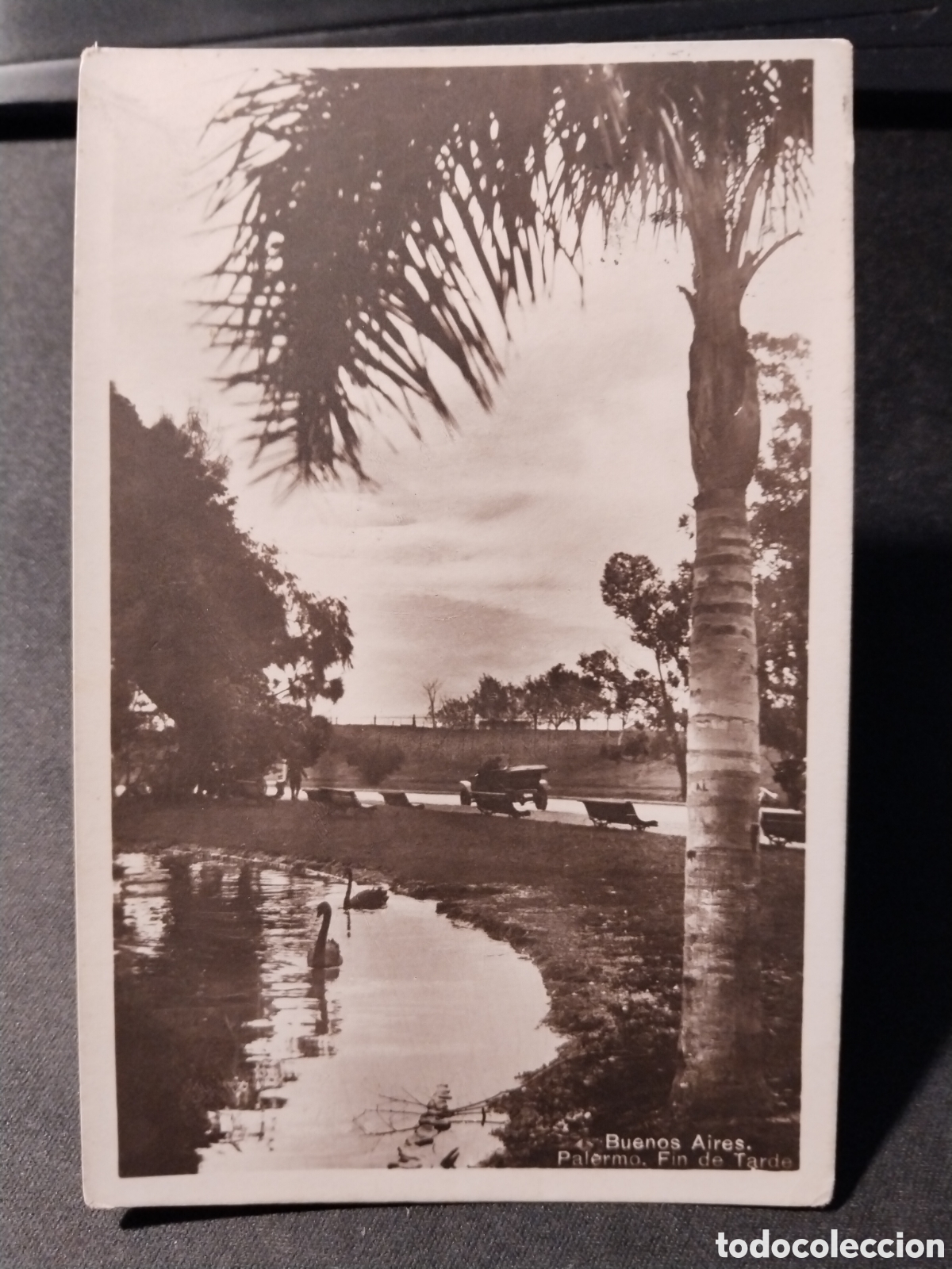 Postales: Postal de Buenos Aires. Palermo, fin de tarde - Foto 1