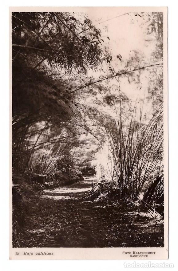 Postales: Argentina. Bajo colihues. - Foto 1