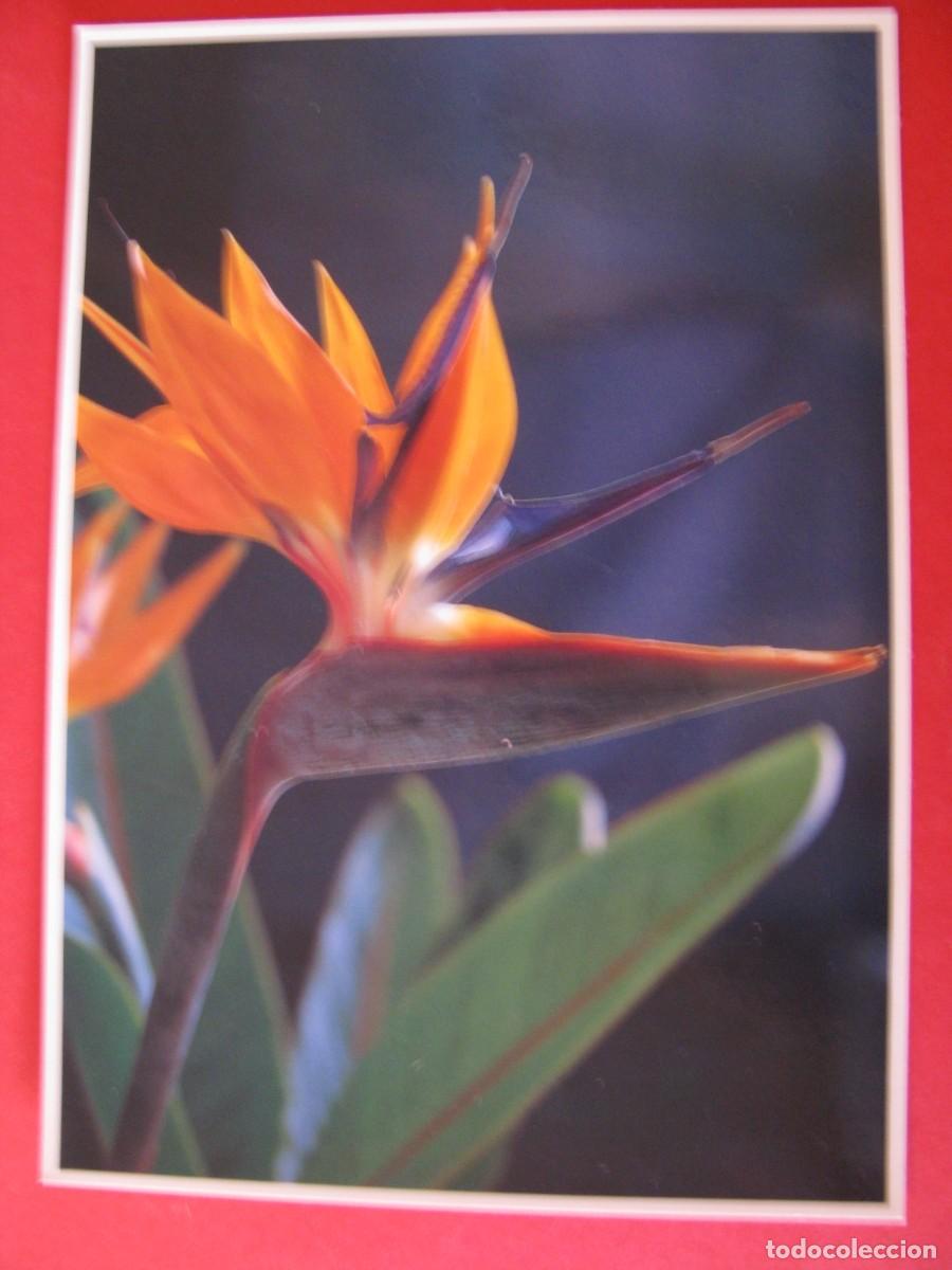 Postales: POSTAL DE EE.UU. HAWAII. 1989 - Foto 1
