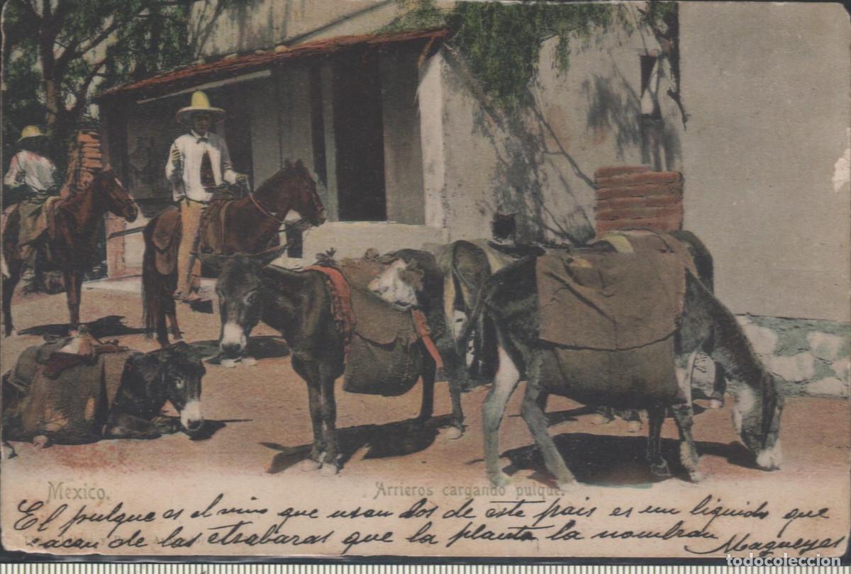 Postales: M&eacute;xico.Arrieros cargando pulque - Foto 1