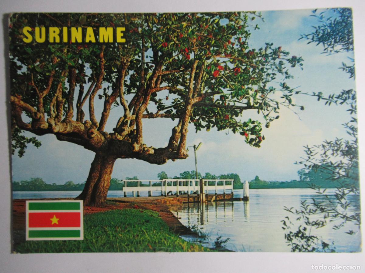 Postales: Suriname / Surinam - Circulada - Foto 1