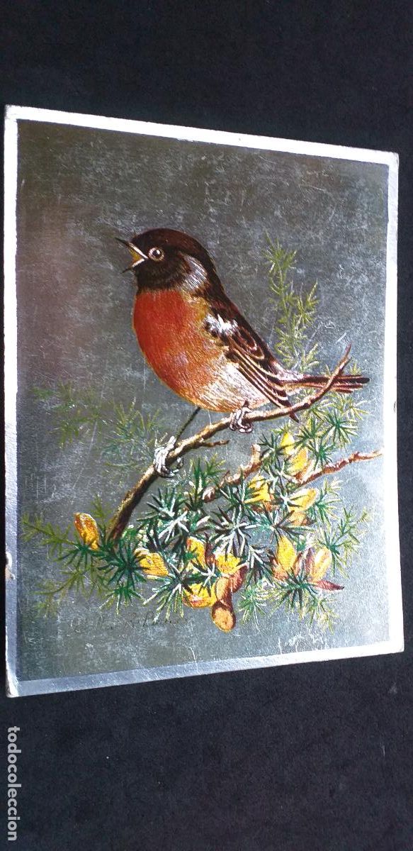 Postales: TEMATICA-V24-ANIMALES-PAJAROS-ESCRITA - Foto 1
