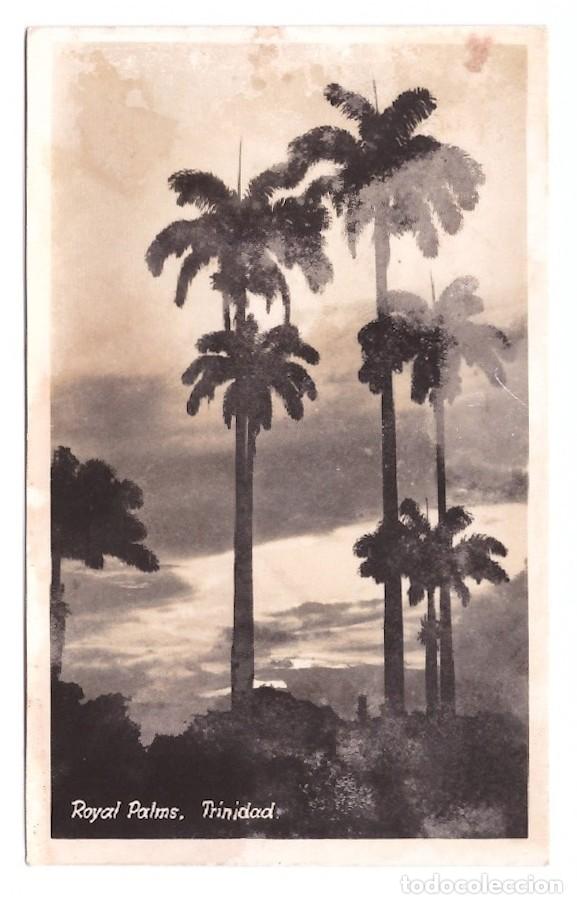 Postales: TRINIDAD. Royal Palms. - Foto 1