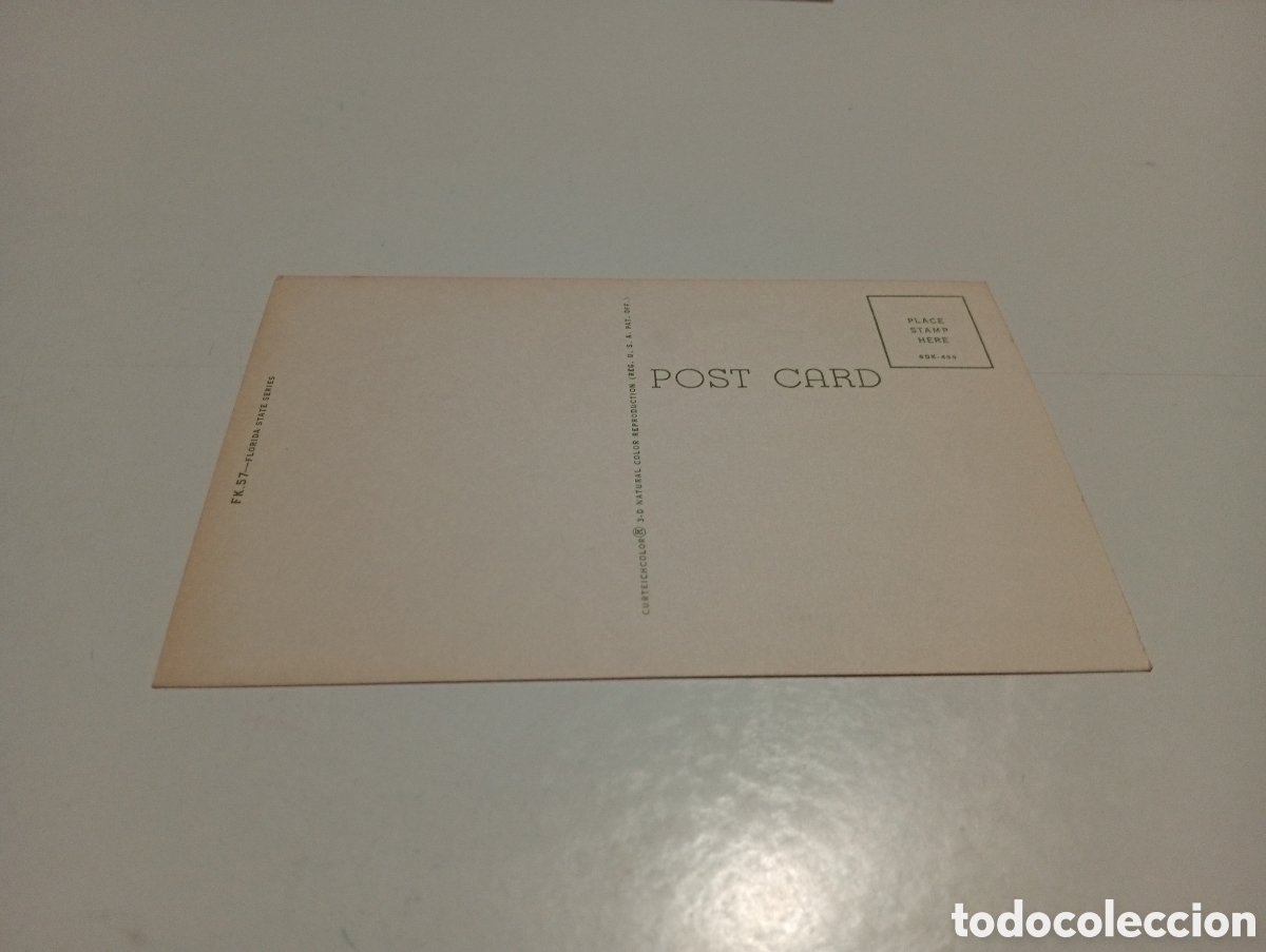 Postales: Postal Florida........... - Foto 2