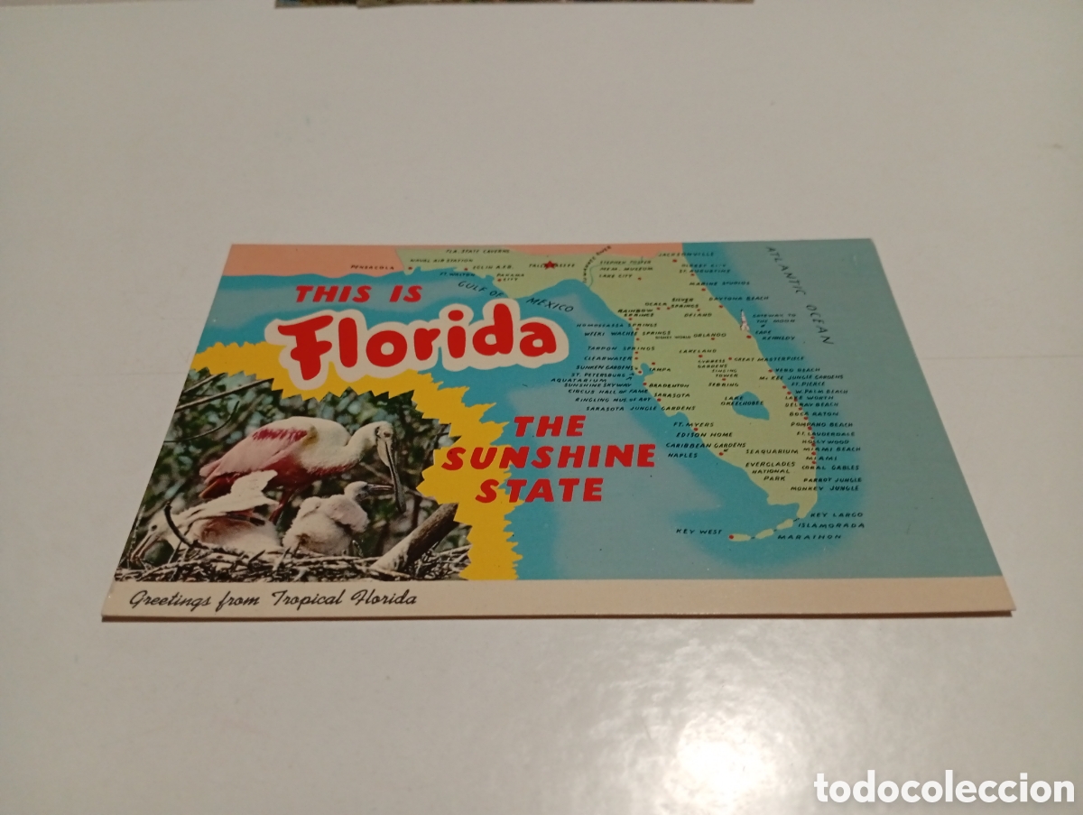 Postales: Postal Florida........... - Foto 1