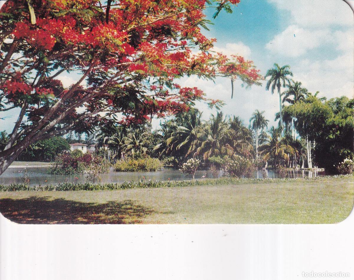 Postales: CUBA SAN JOSE DE LAGO - Foto 1