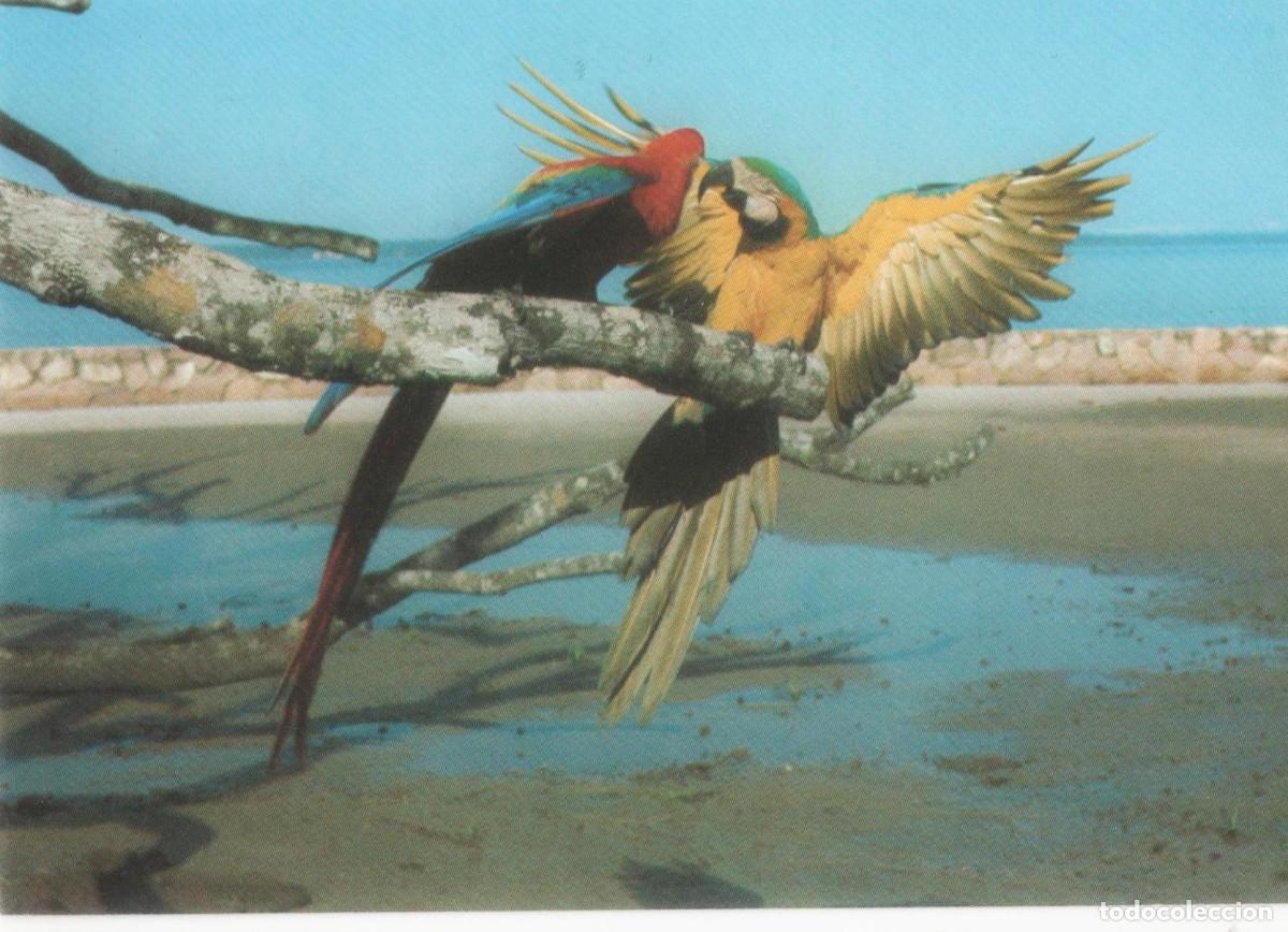 Postales: Brasil- Amazonas-Circulada- - Foto 1