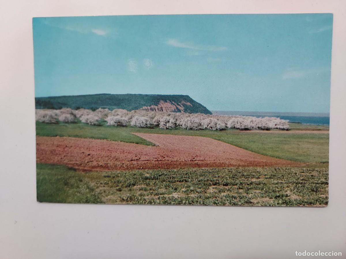 Postales: POSTAL CANADA. CAPE BLOMIDON. NOVA SCOTIA. ESCRITA - Foto 1