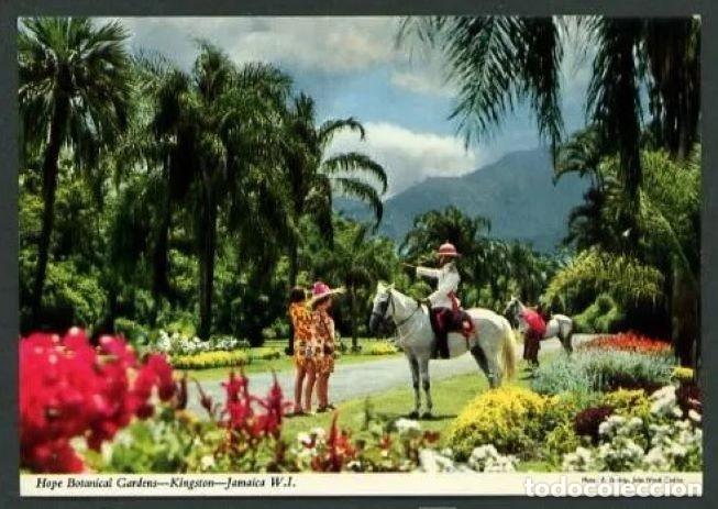 Postkarten: Jamaica. Kingston. *Hope Botanical Garden* Ed. John Winde n&ordm; 2JM1. Nueva.