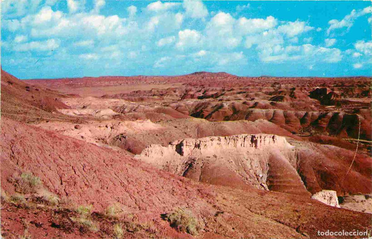 Cartes Postales: Carte Postale - &Eacute;tats-Unis - Painted desert - The painted desert is most beautiful viewing it in the