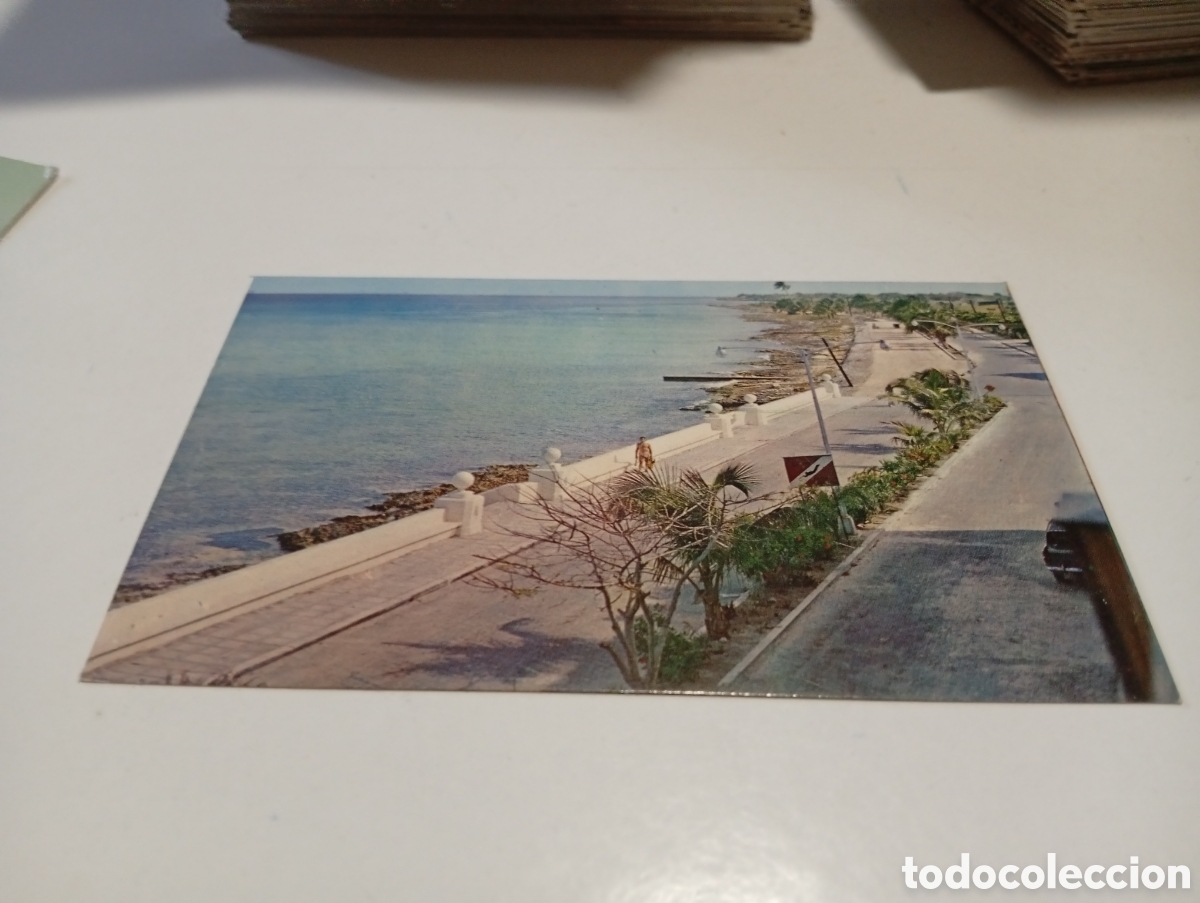 Postales: Postal el boulevard,isla de Cozumel, M&eacute;xico - Foto 1