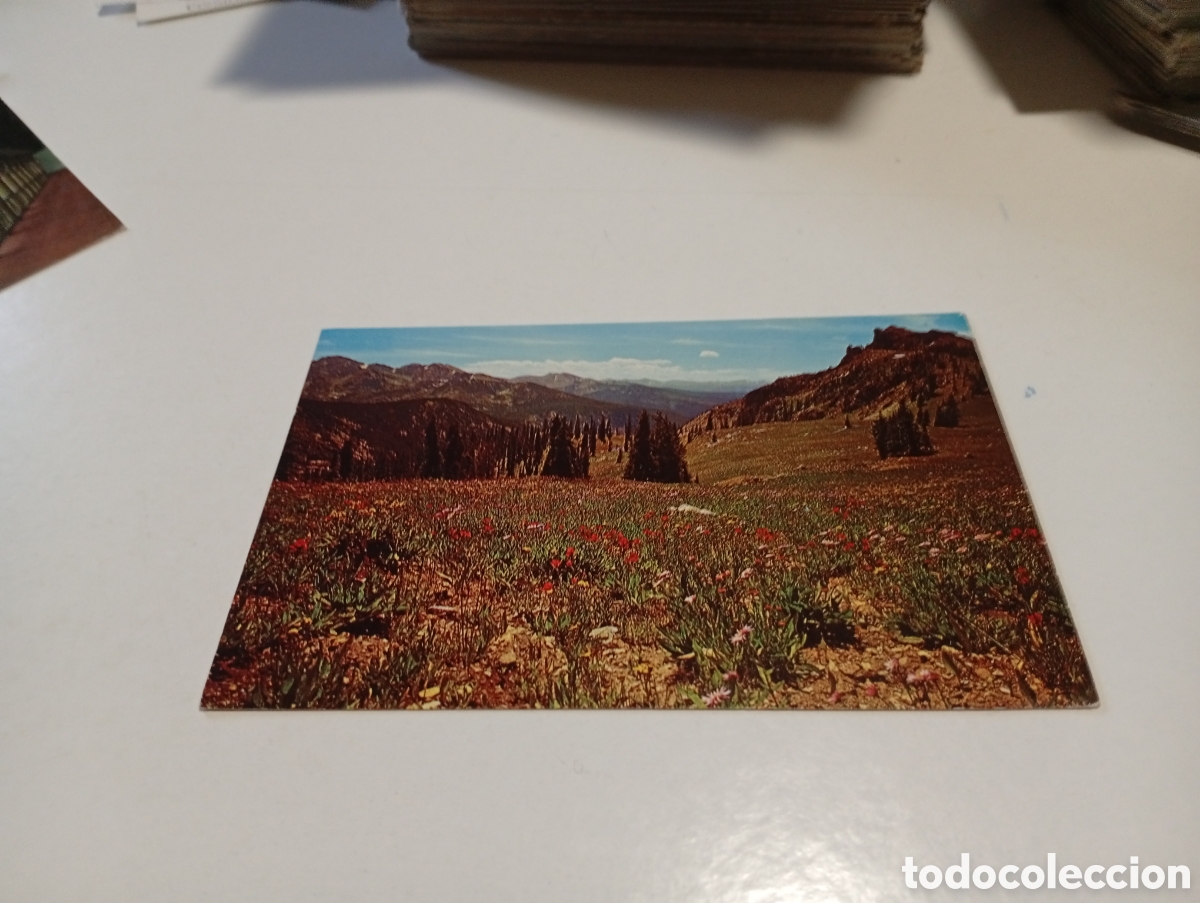 Postales: Postal hell canyon saddle - Foto 1