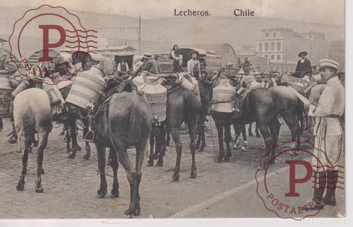 Postales: CHILE. LECHEROS. mire reverso - Foto 1