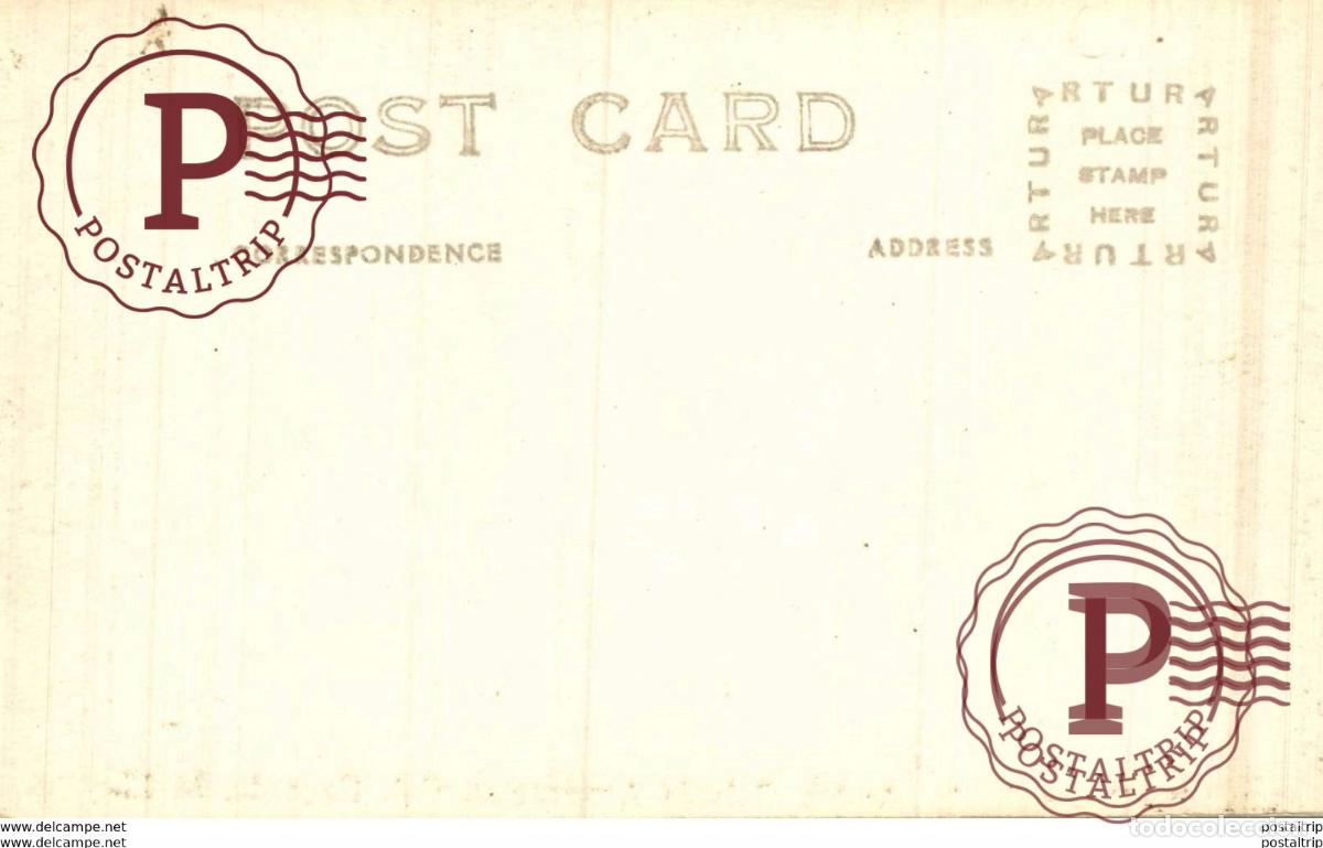 Postales: RPPC CORDILLERA DE LOS ANDES CHILE - Foto 2