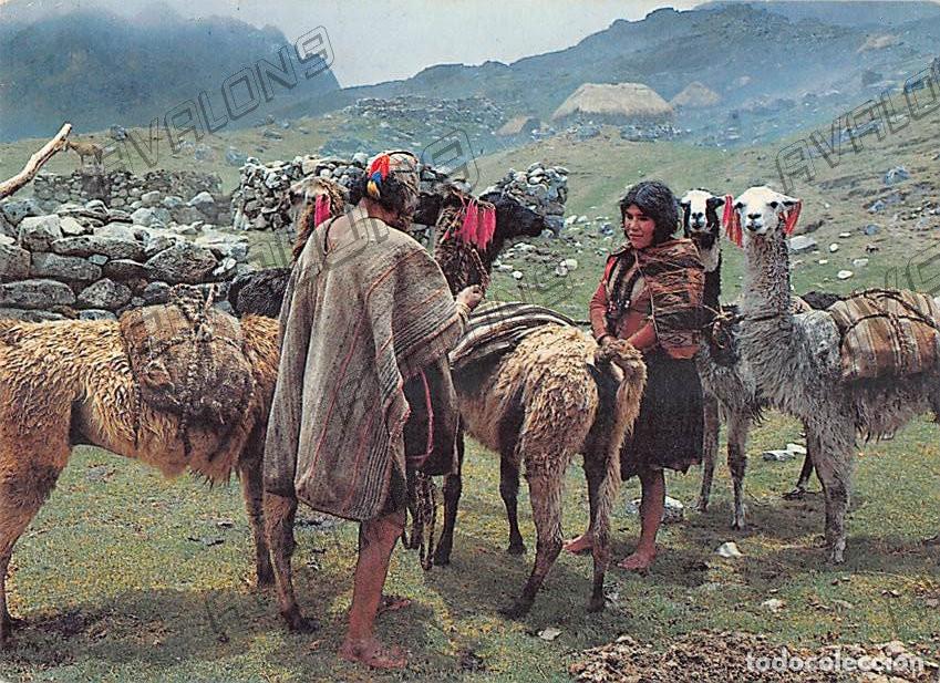 Postales: Postal Indios Q'ero regresando de un viaje - Mundo Andino (Per&uacute;) - A&ntilde;os 80 - Sin Circular