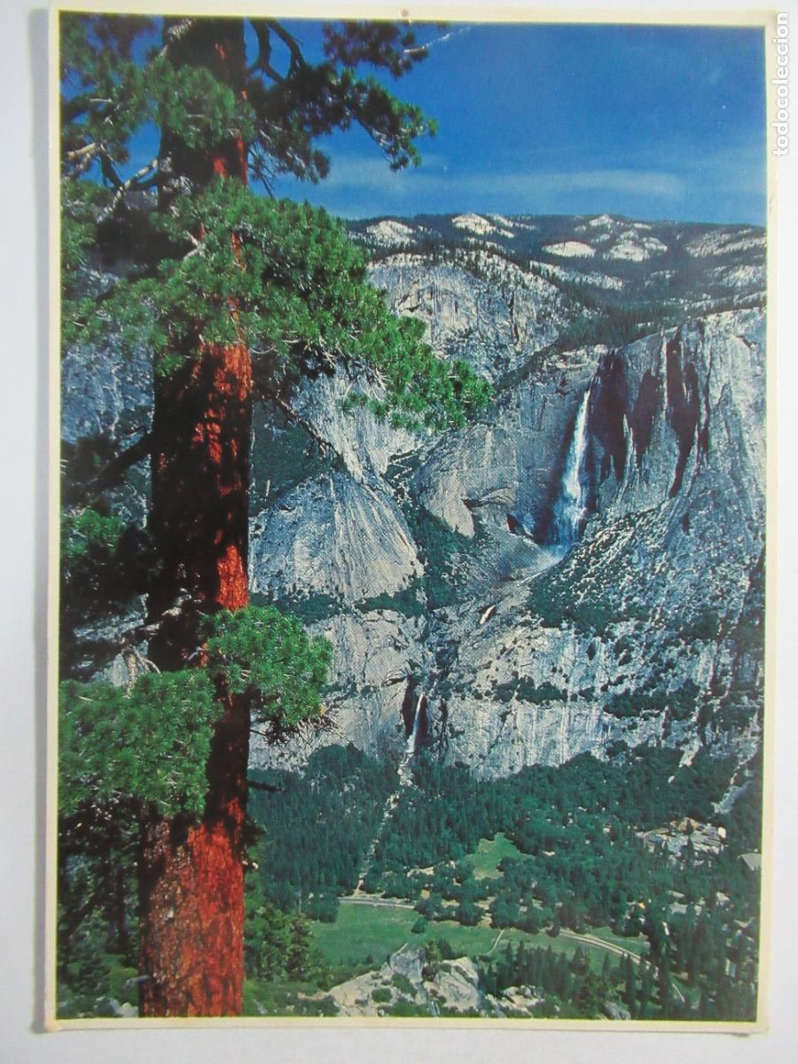 Postales: Upper and Lower Yosemite Falls - Circulada - Foto 1