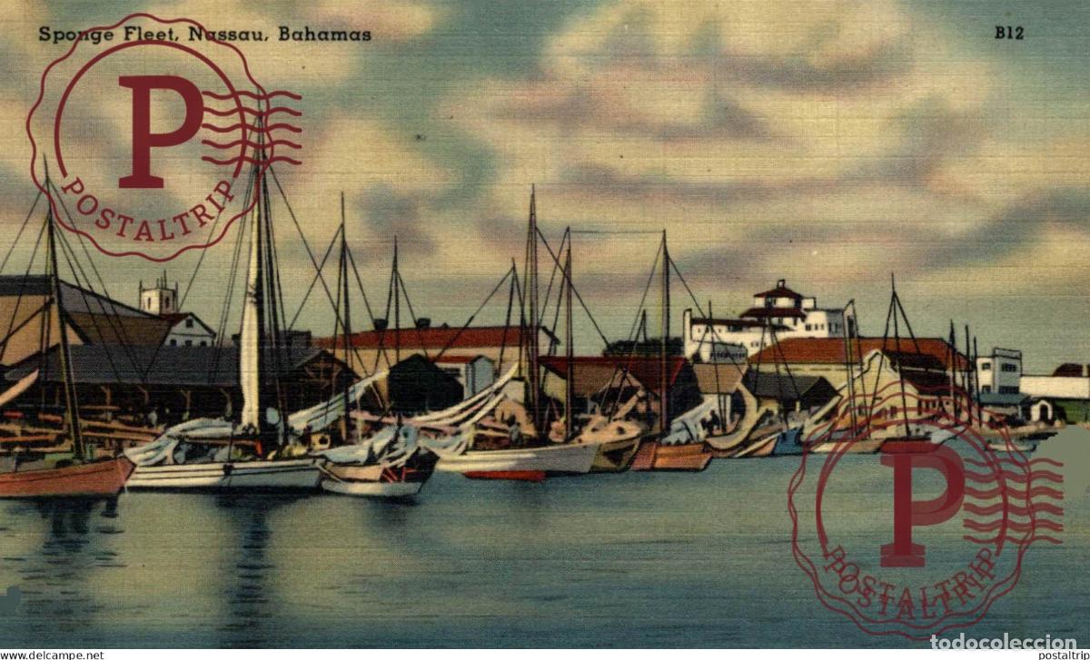 Postais: ANTILLAS ANTILLES. BAHAMAS NASSAU THE SPONGE FLEET