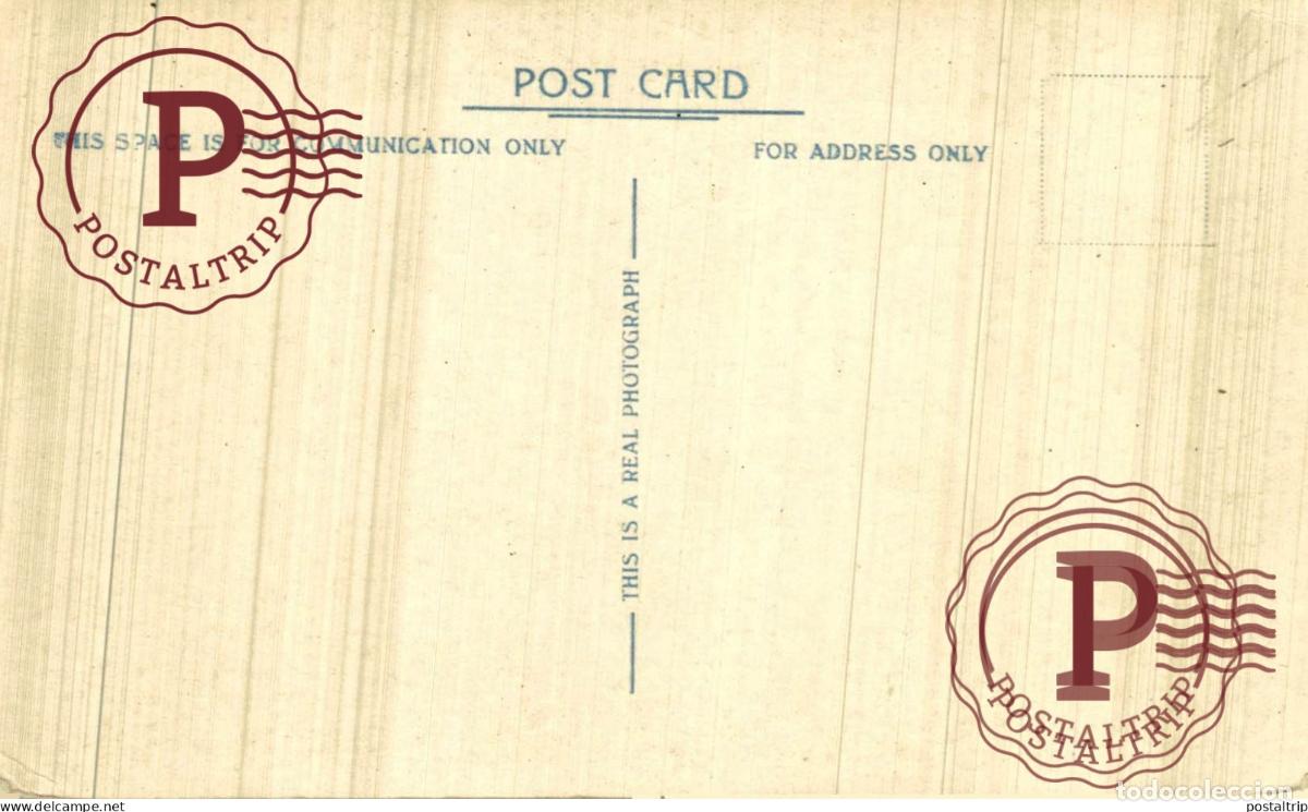 Postales: JAMAICA. CASTLETON GARDENS. - Foto 2