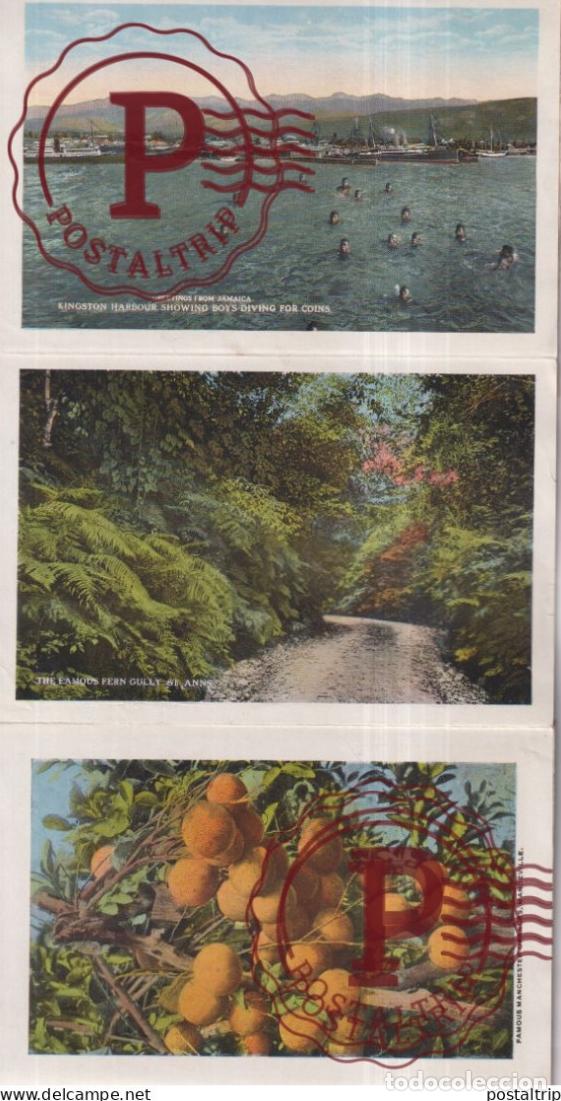 Postales: JAMAICA. SOUVENIR FOLDER. - Foto 3