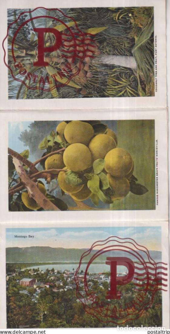 Postales: JAMAICA. SOUVENIR FOLDER. - Foto 4