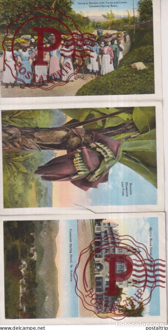 Postales: JAMAICA. SOUVENIR FOLDER. - Foto 7