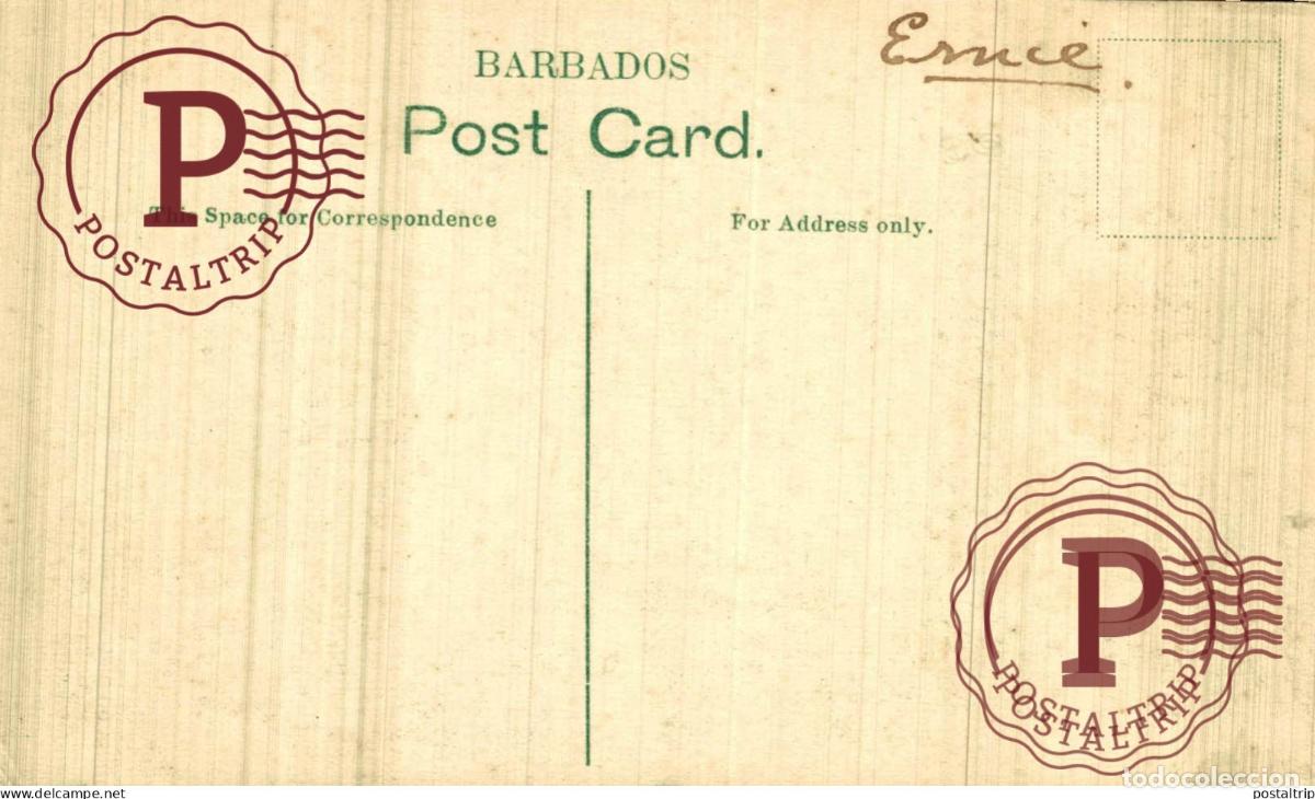 Postales: BARBADOS. LOADING SUGAR CANE - Foto 2