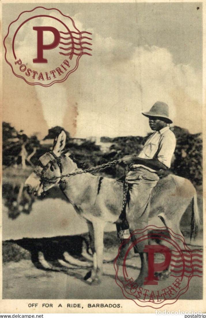 Postales: BARBADOS. OFF FOR A RIDE - Foto 1