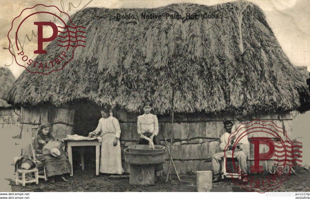 Postales: CUBA. BOHIO, NATIVE PALM HUT CUBA