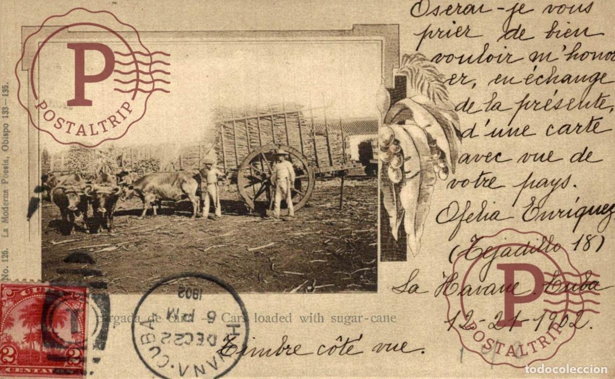 Postales: CUBA. CARRETA CARGADA DE CA&Ntilde;A - Foto 1