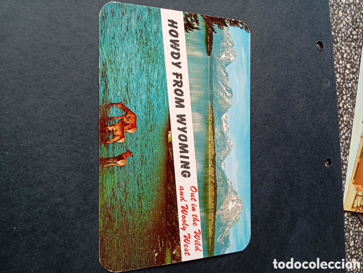 Postales: Postal Wyoming salvaje