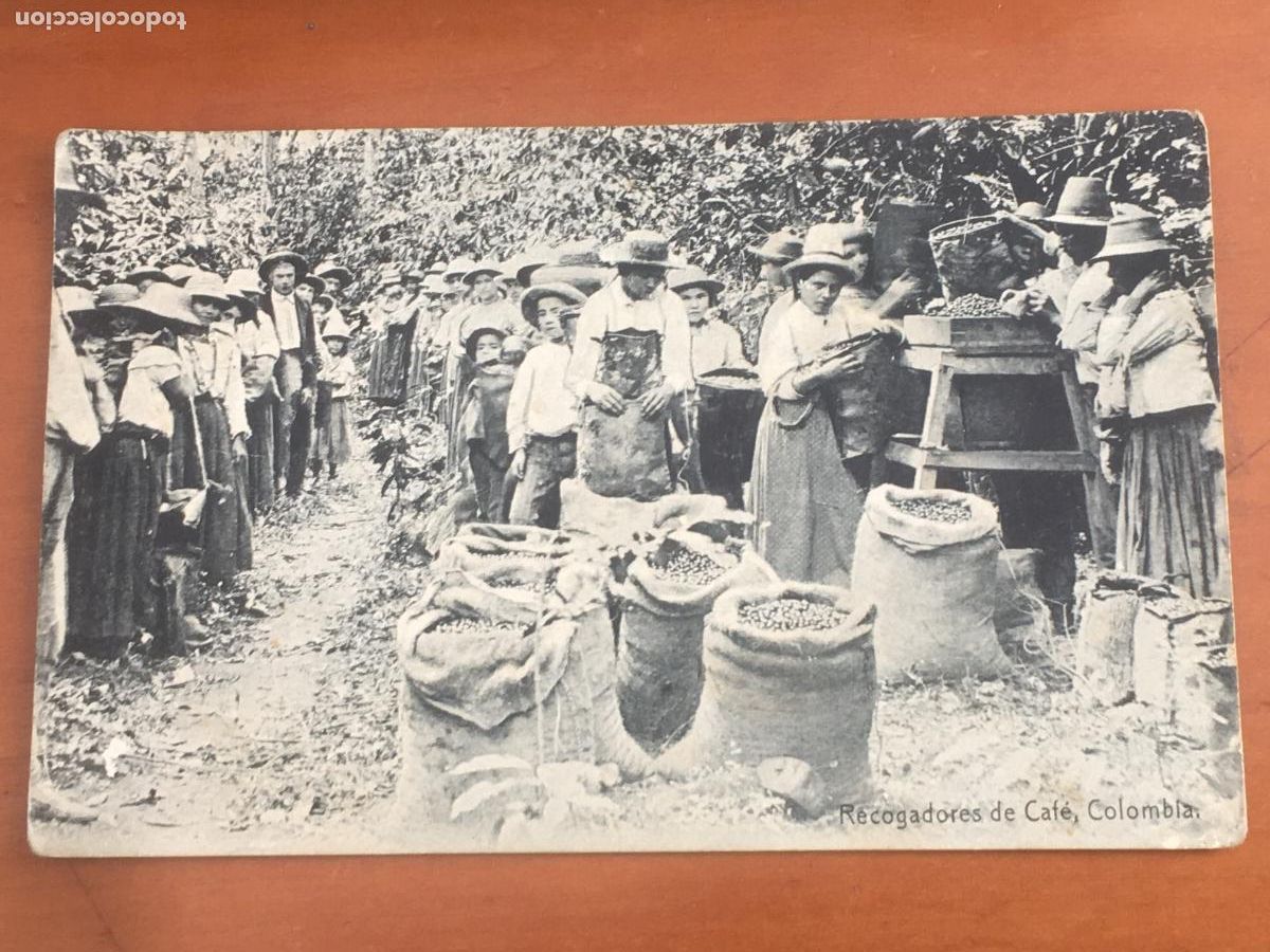 Postales: recogedores de cagfe colombia postal original antigua