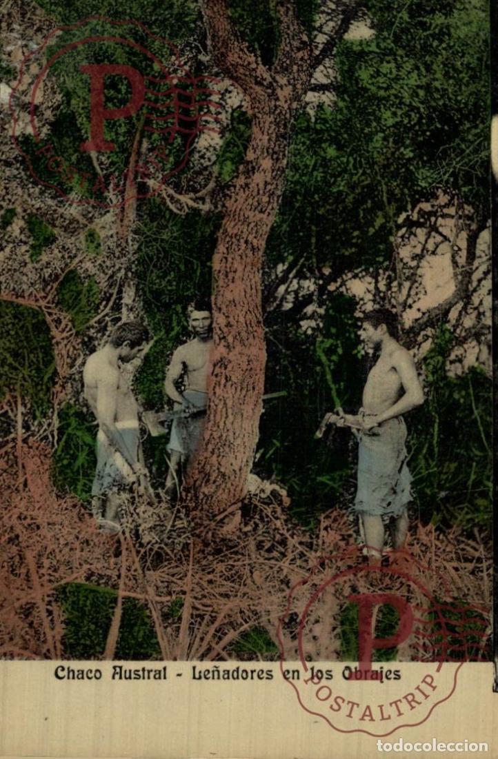 Postcards: ARGENTINA. Cortando un &aacute;rbol de Quebracho. Recuerdo del Chaco. R. & J. Editores. PROFESIONES PROFFES