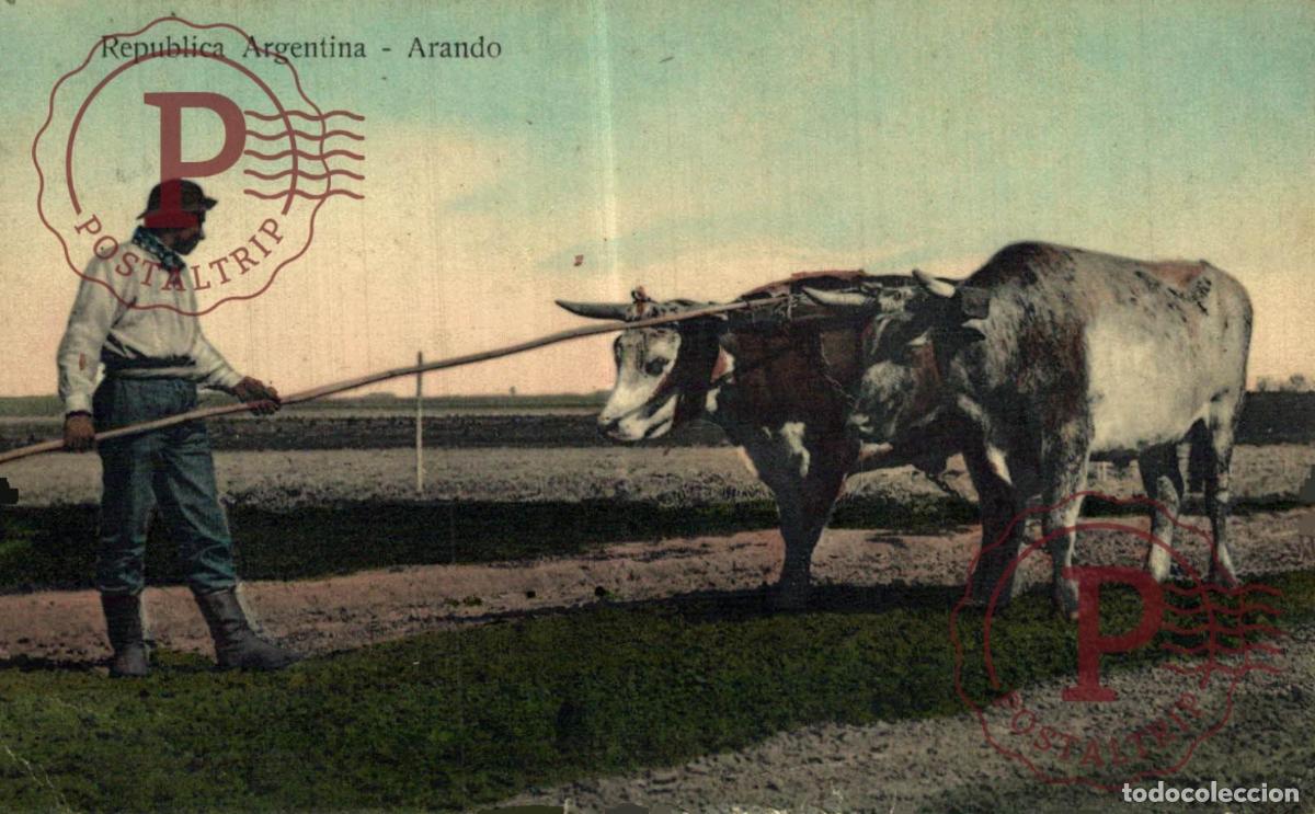 Postales: ARGENTINA. Arando, Rep&uacute;blica Argentina. - Foto 1