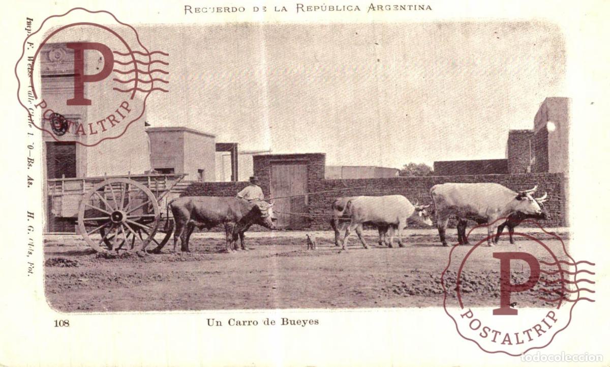 Postales: ARGENTINA. Un carro de bueyes, Recuerdo de la Rep&uacute;blica Argentina.