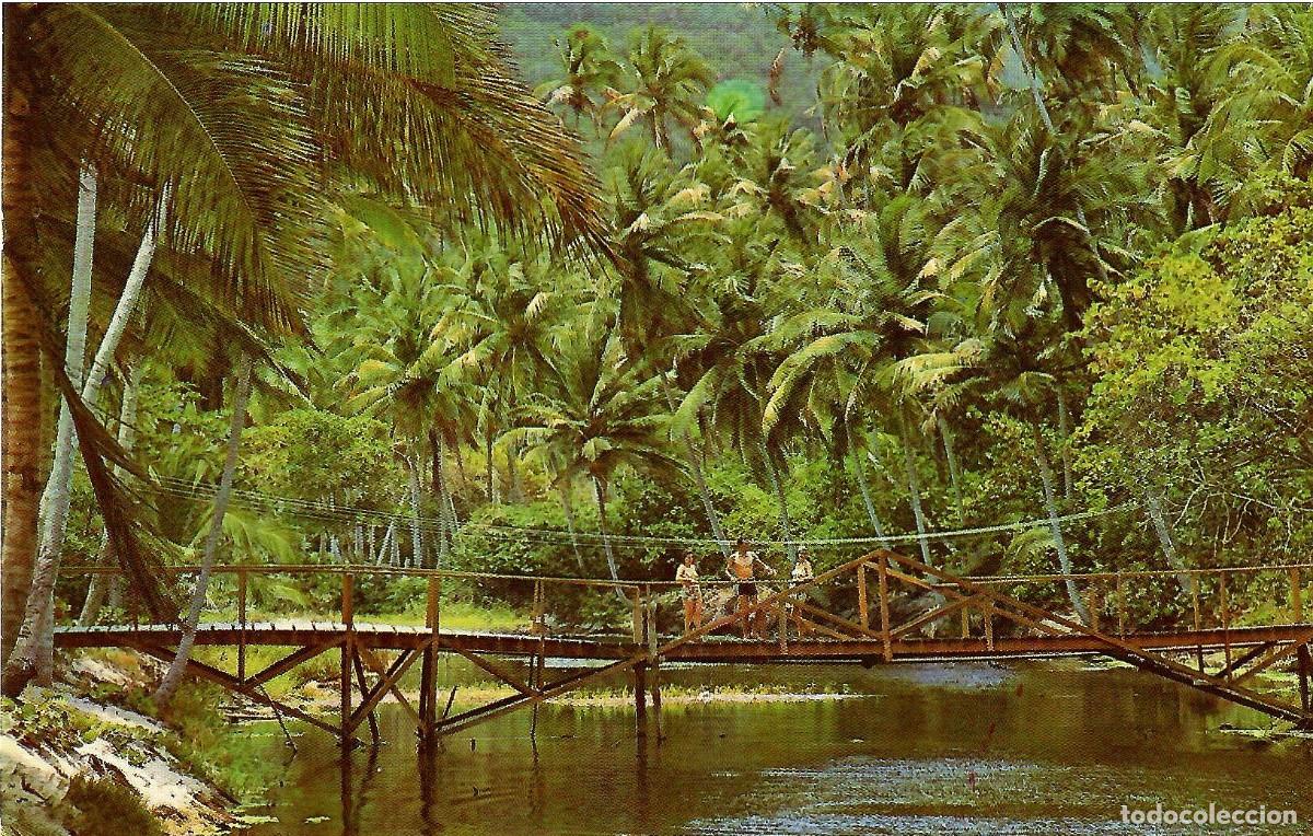 Postales: VENEZUELA. Paisaje tropical en Bah&iacute;a de Cata. Sin circular. ED. EDICAR